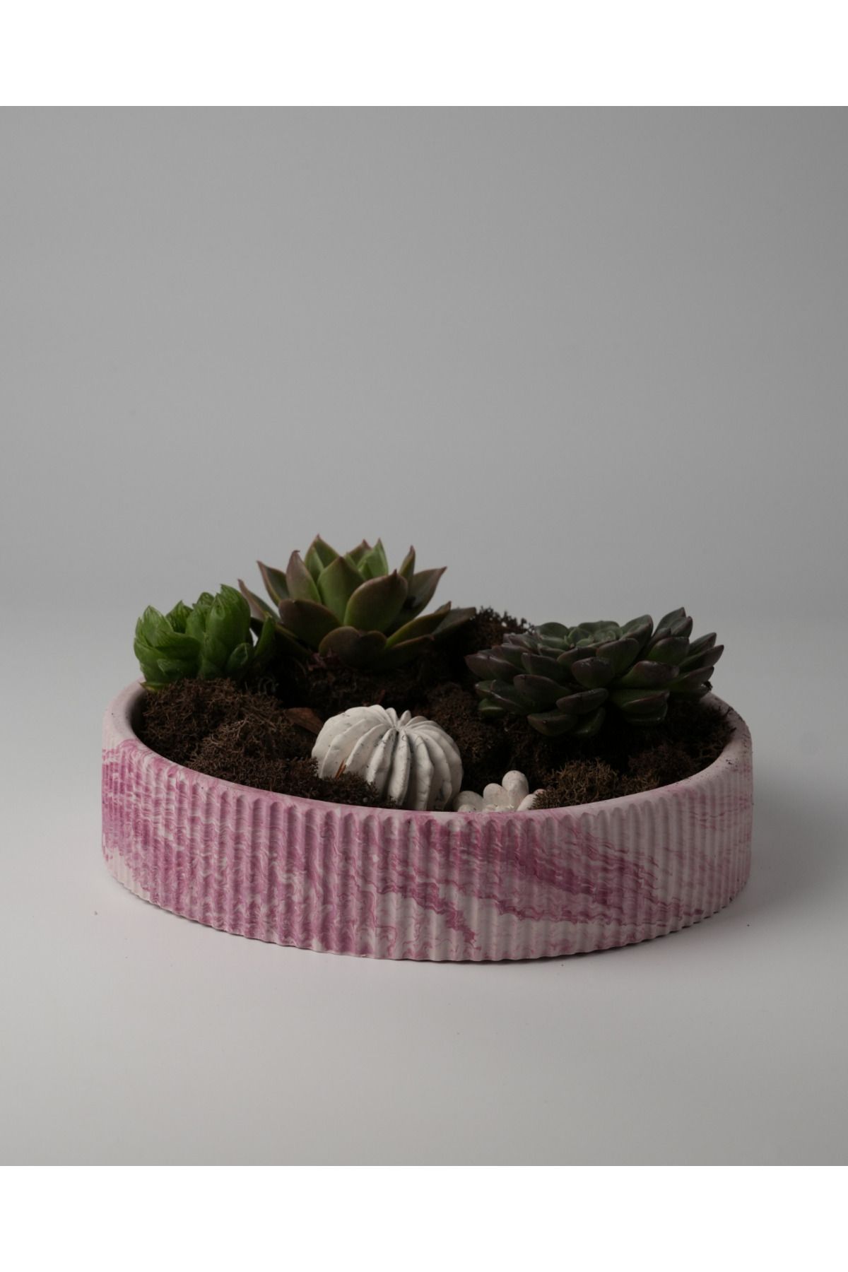 Kaju Creative Dekoratif Beton Çizgili Kase - Sukulent - Mini Kaktüs - Bonsai - Aranjman Kasesi - Büyük/Küçük