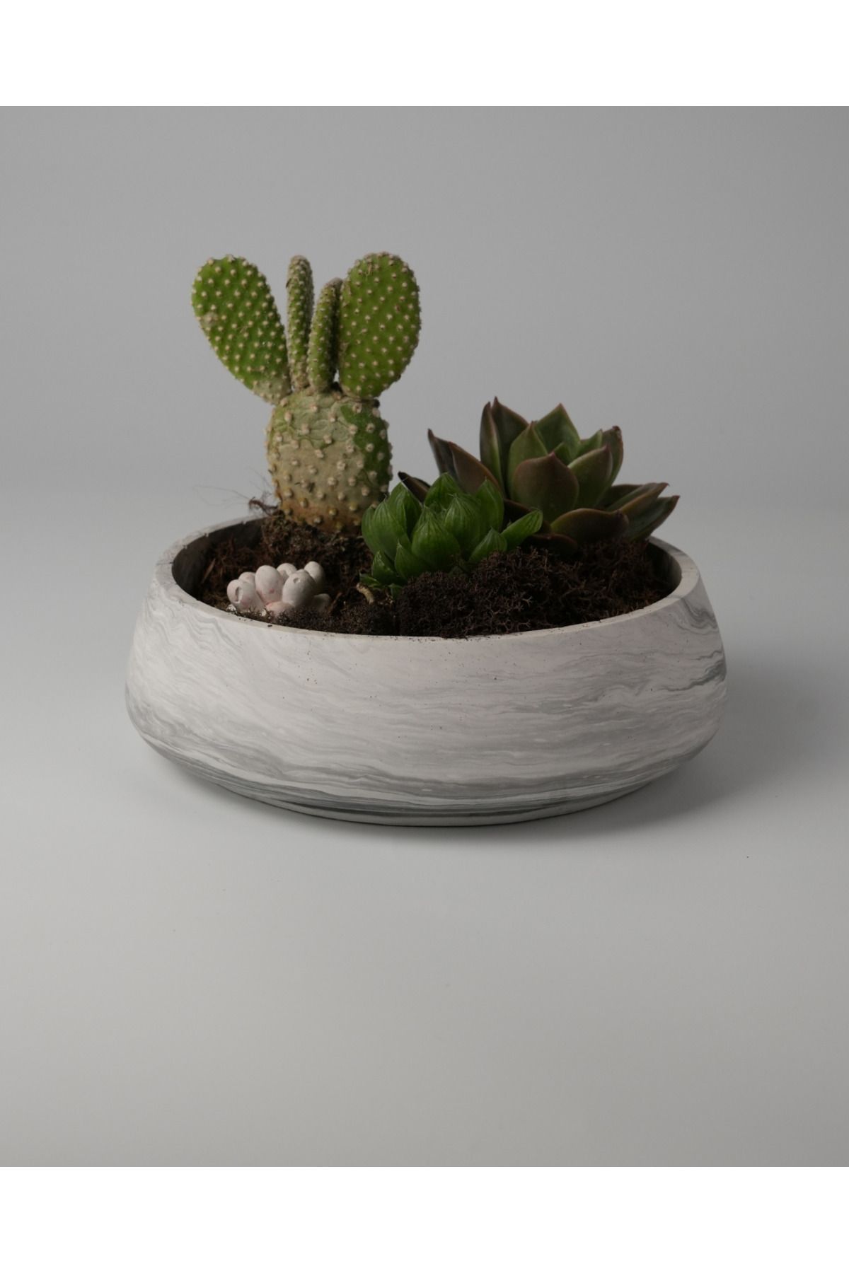 Kaju Creative Dekoratif Beton Kase - Amorf 5x19 1L- Sukulent - Mini Kaktüs - Bonsai - Aranjman Kasesi