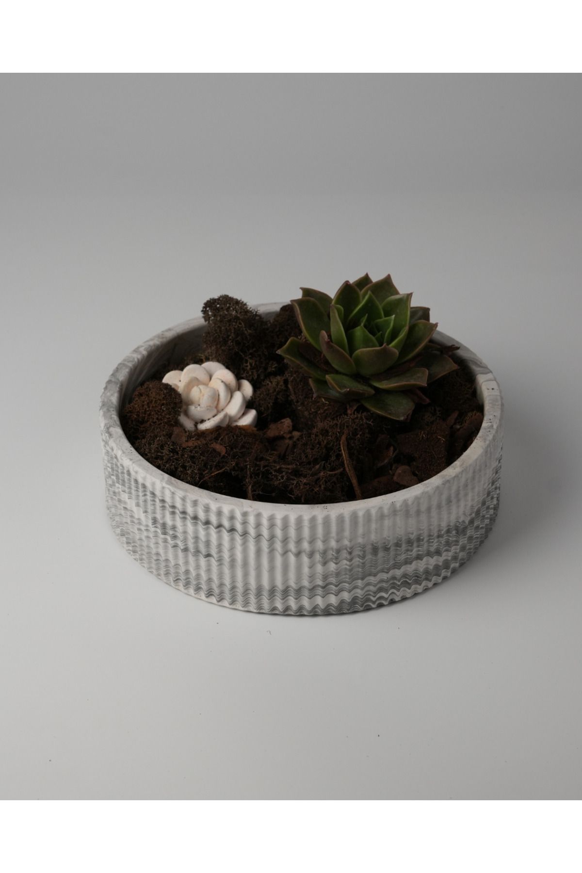 Kaju Creative Dekoratif Beton Çizgili Kase - Sukulent - Mini Kaktüs - Bonsai - Aranjman Kasesi - Büyük/Küçük