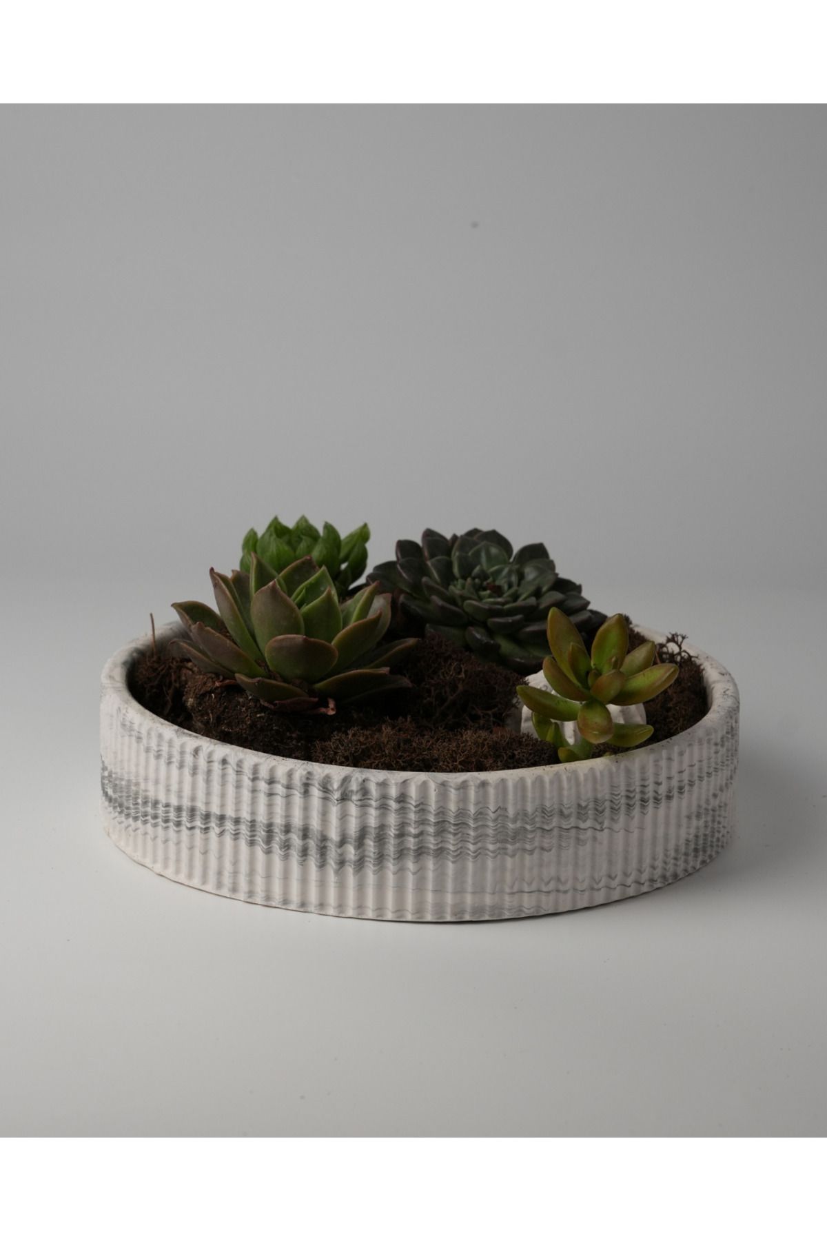 Kaju Creative Dekoratif Beton Çizgili Kase - Sukulent - Mini Kaktüs - Bonsai - Aranjman Kasesi - Büyük/Küçük