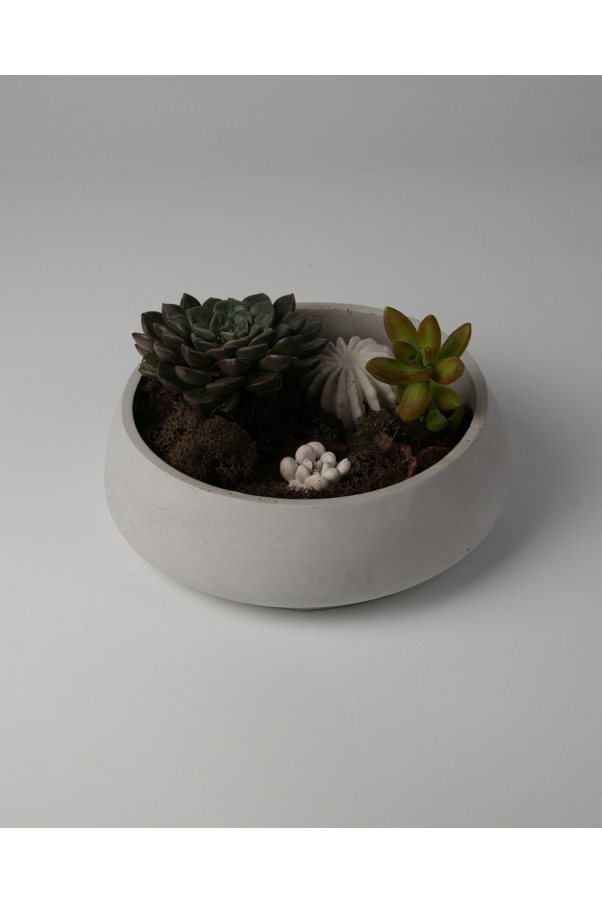 Kaju Creative Dekoratif Beton Kase - Amorf 5x19 1L- Sukulent - Mini Kaktüs - Bonsai - Aranjman Kasesi