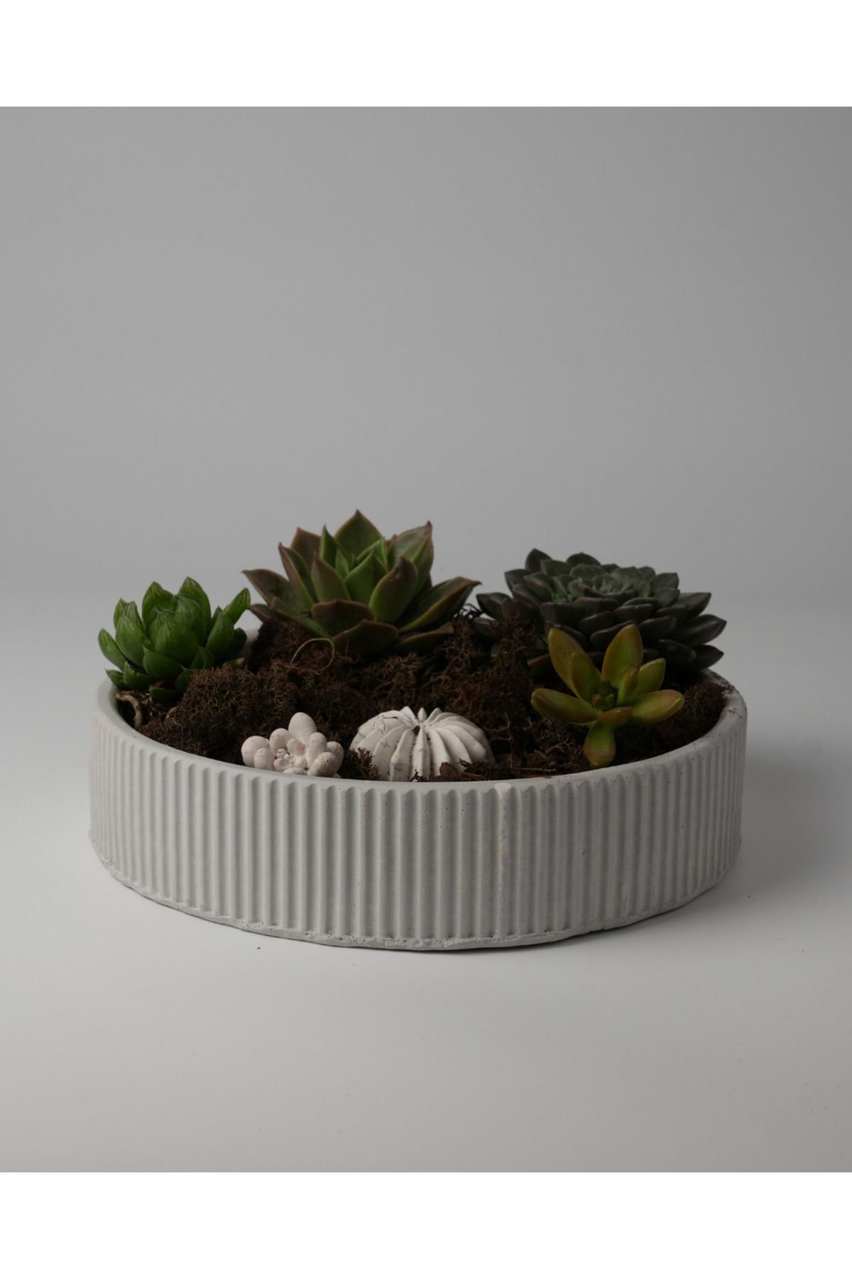 Kaju Creative Dekoratif Beton Çizgili Kase - Sukulent - Mini Kaktüs - Bonsai - Aranjman Kasesi - Büyük/Küçük