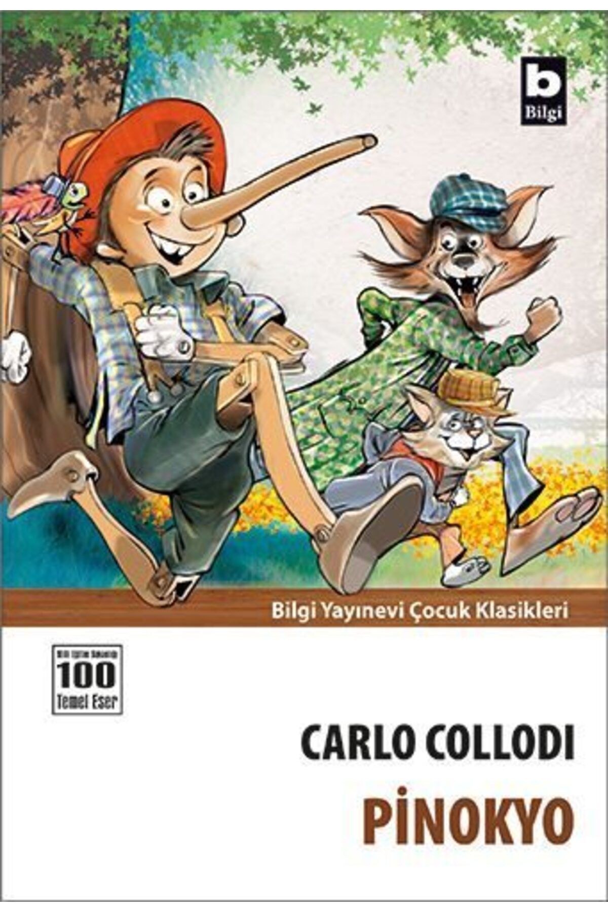 Destek Yayınları Pinokyo
