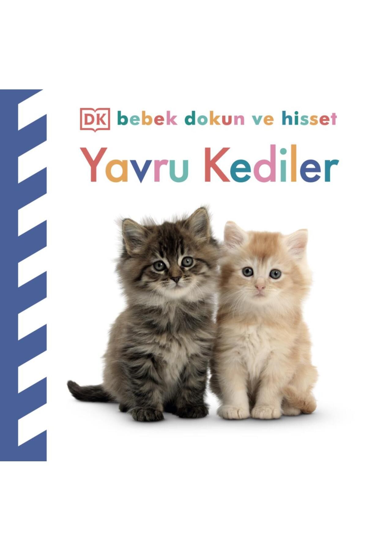 Beta Kids Yayınları Bebek Dokun ve Hisset Yavru Kediler