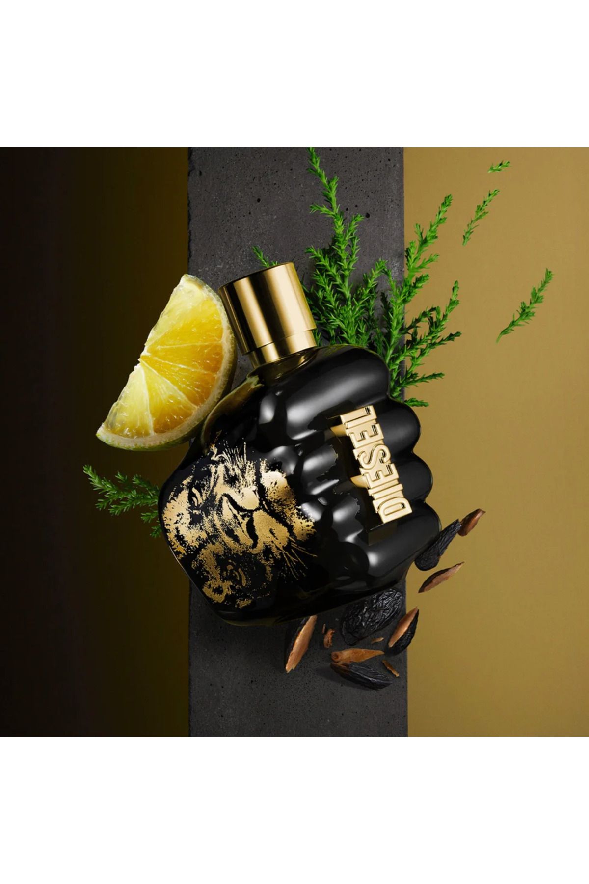 Diesel Diesel, Spirit Of The Brave, Apa De Toaleta, Pentru Barbati, 75 Ml Masculin - One Size