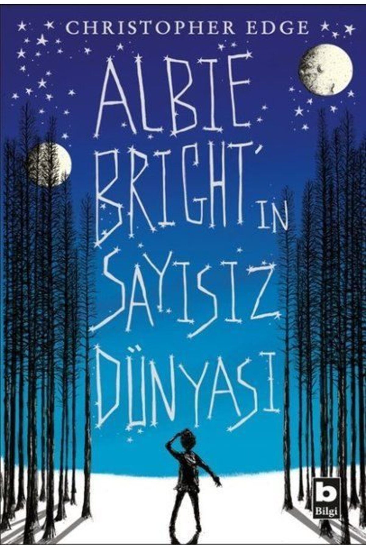 Destek Yayınları Albie Birghtın Sayısız Dünyası