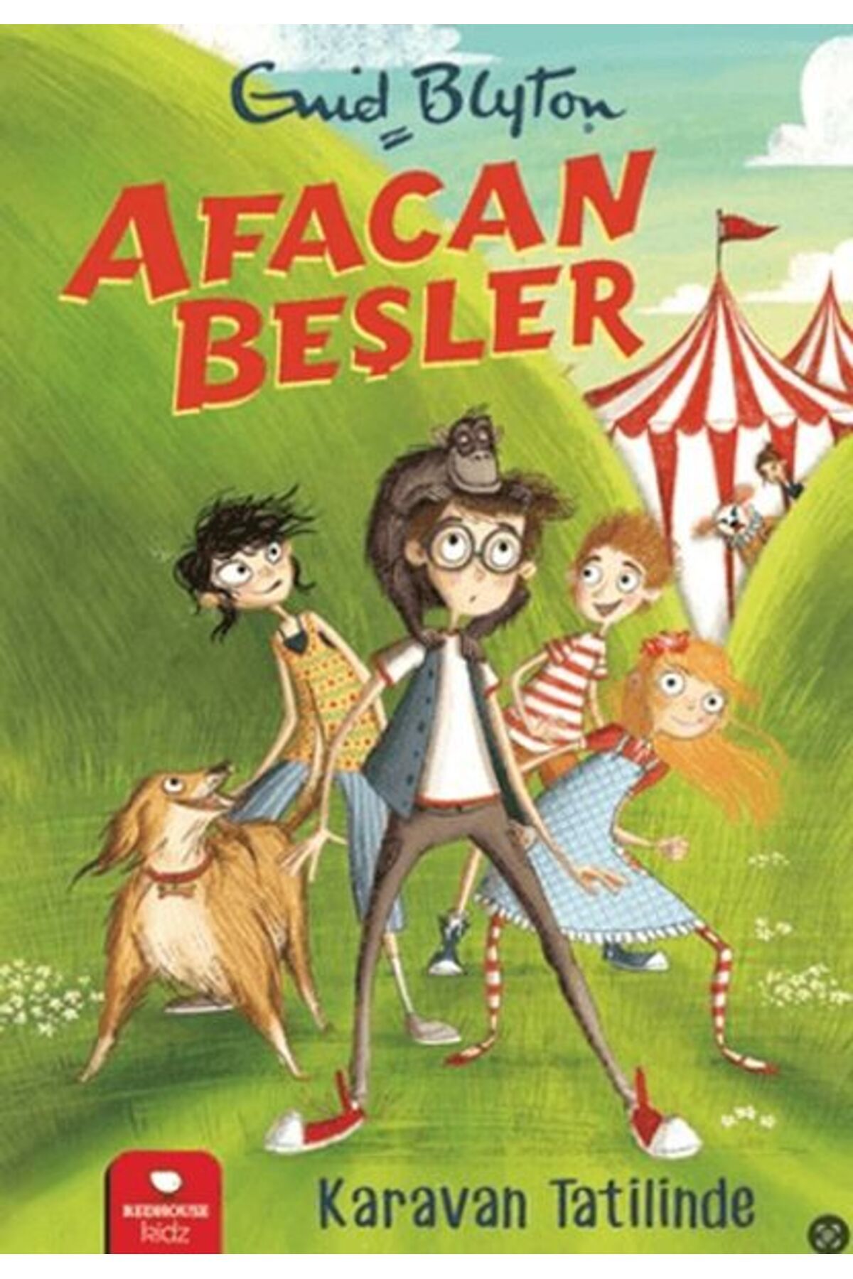 Destek Yayınları Afacan Beşler Karavan Tatilinde