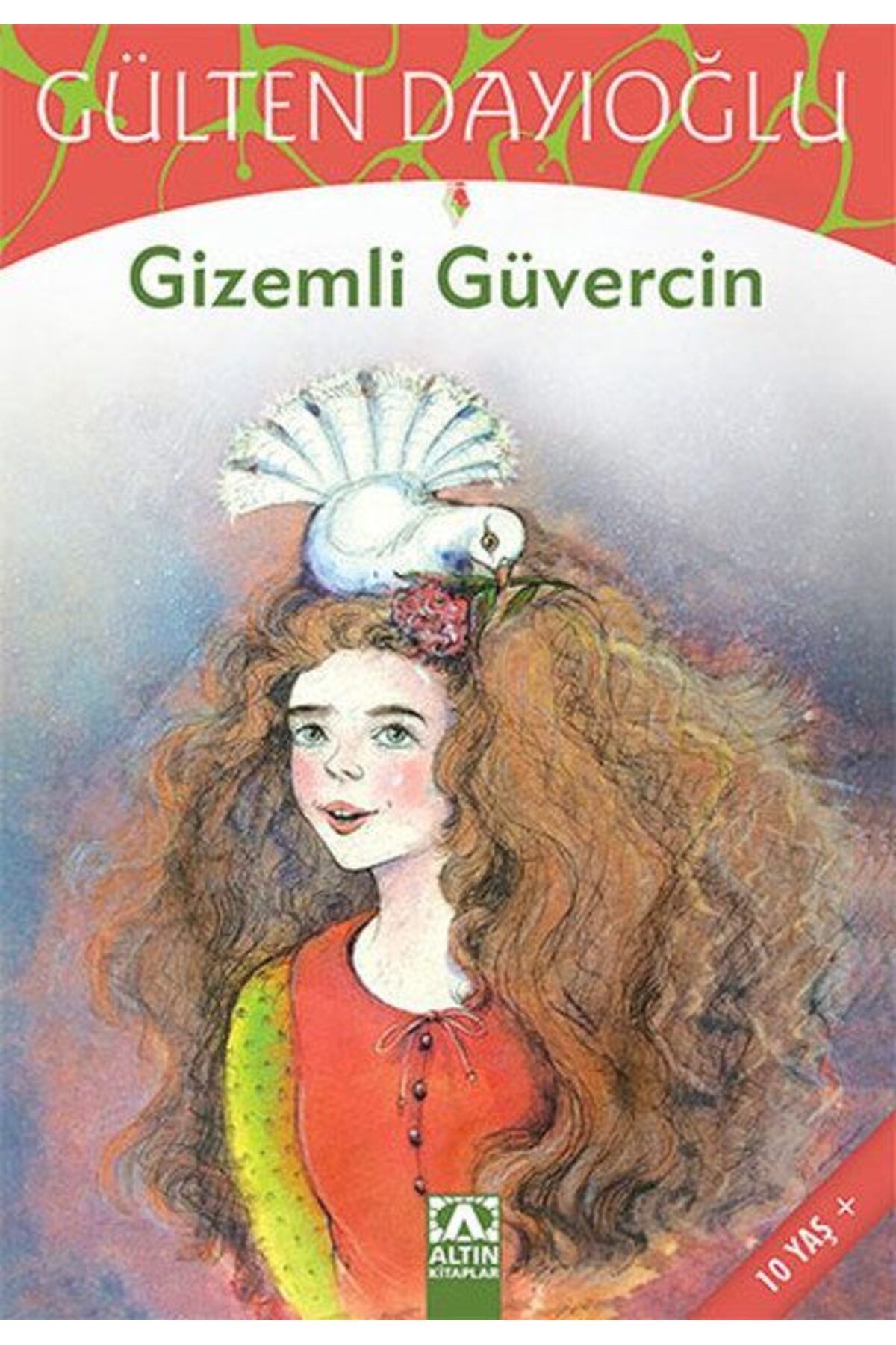 Destek Yayınları Gizemli Güvercin