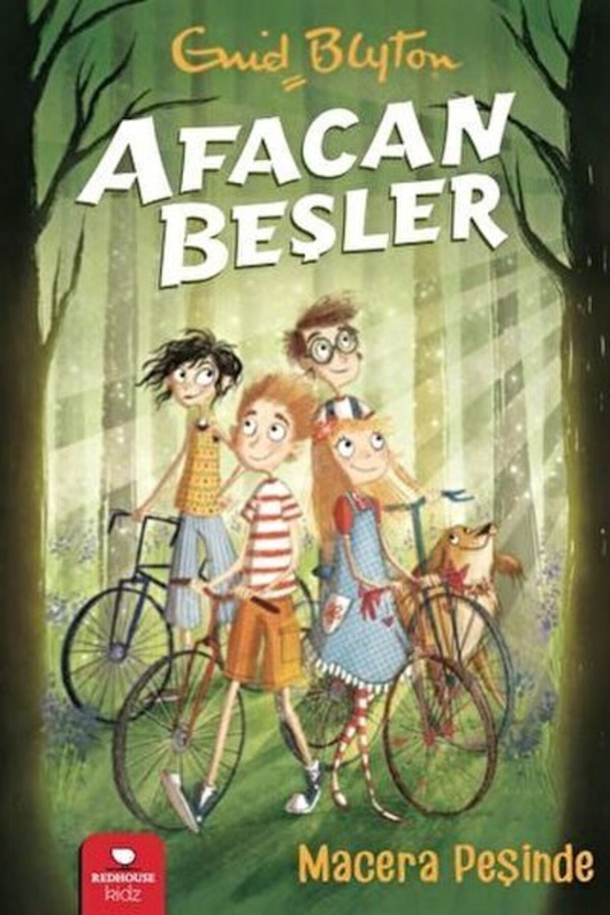 Destek Yayınları Afacan Beşler Macera Peşinde