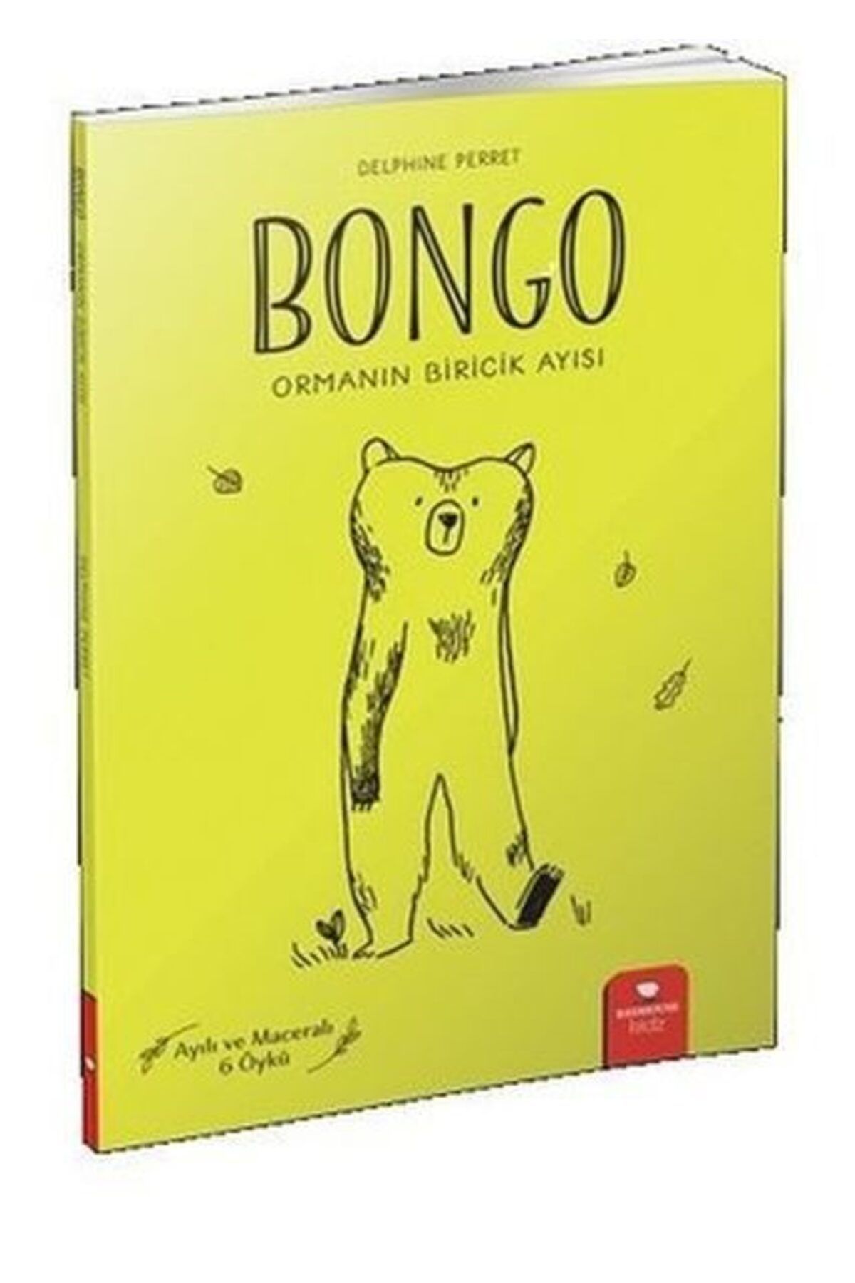 Destek Yayınları Bongo Ormanın Biricik Ayısı