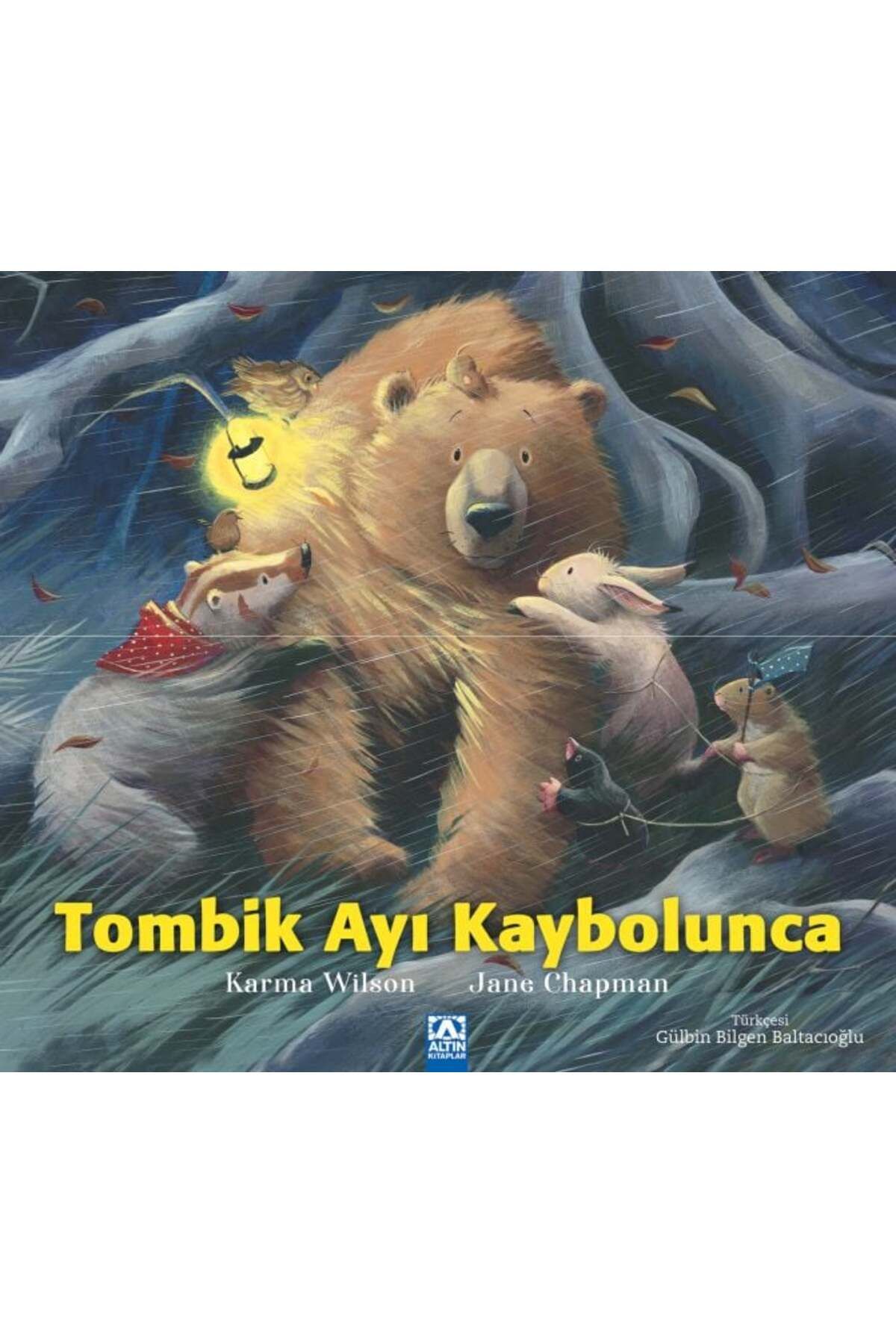 Destek Yayınları Tombik Ayı Kaybolunca