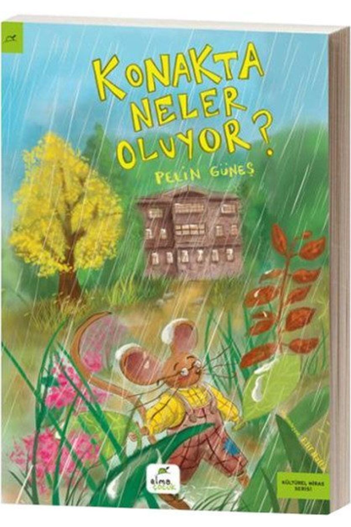 Destek Yayınları Konakta Neler Oluyor