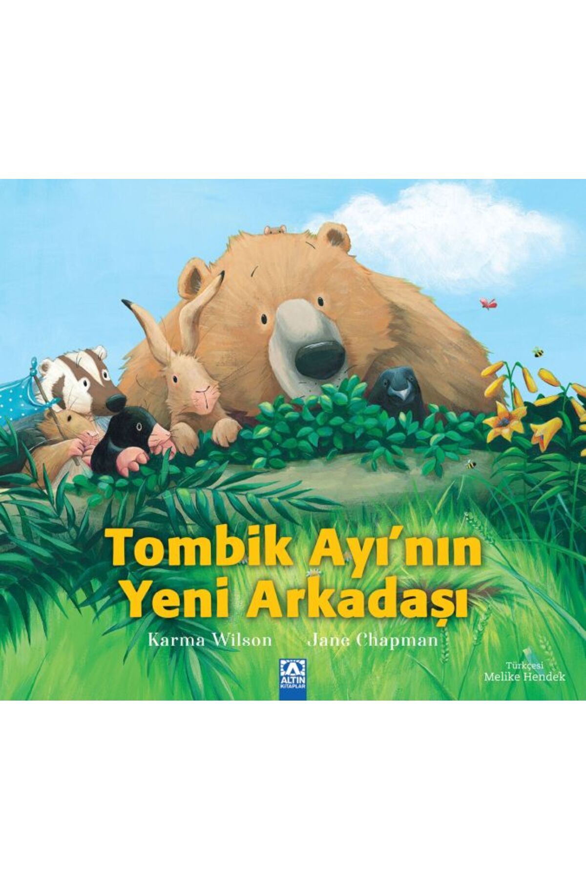 Destek Yayınları Tombik Ayının Yeni Arkadaşı