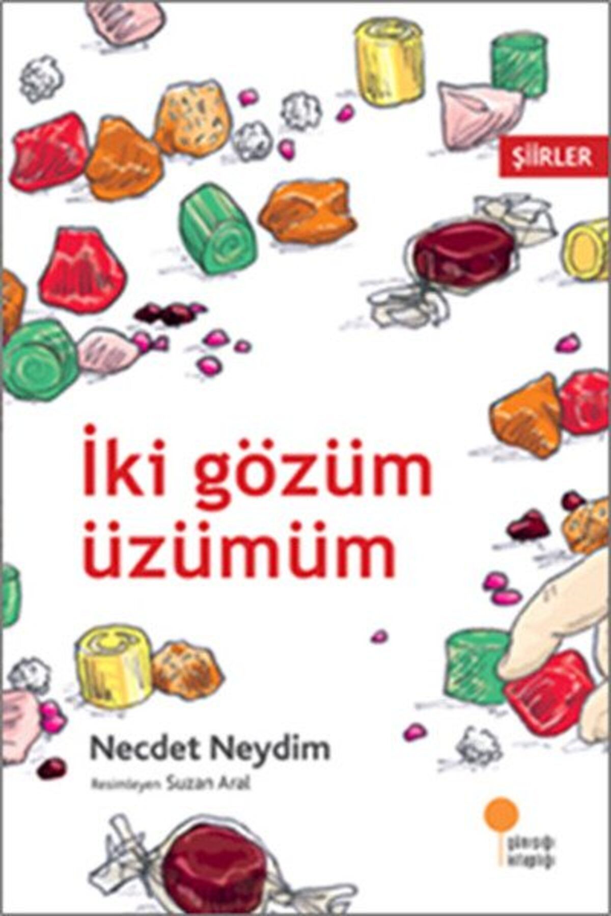 Destek Yayınları İki Gözüm Üzümüm