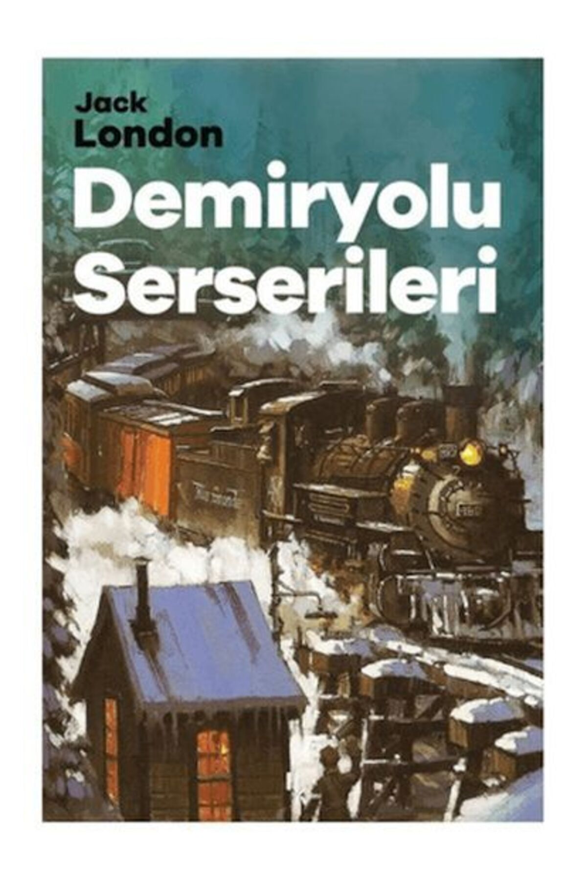 Destek Yayınları Demiryolu Serserileri