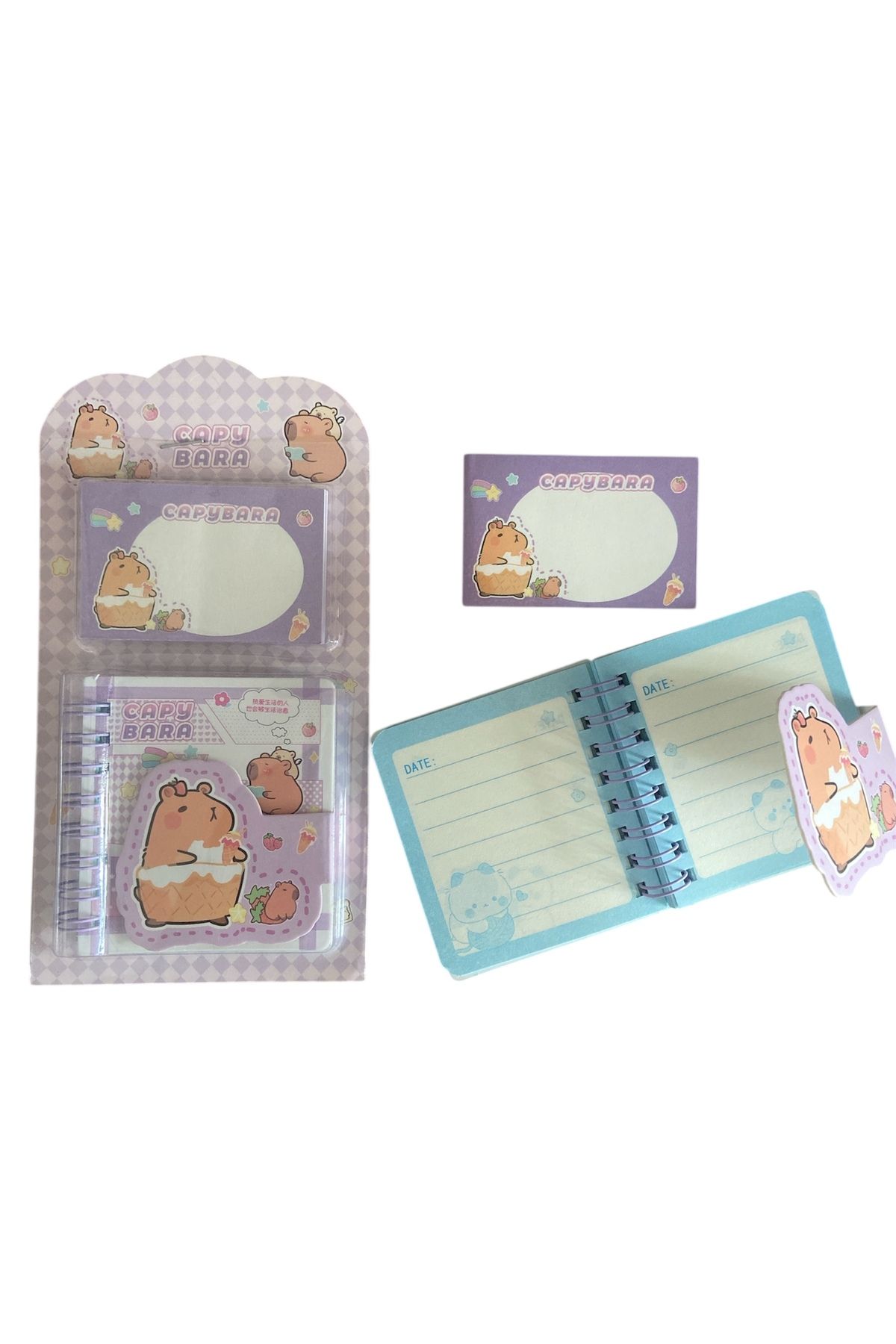 synshop Capybara Kapibara Not Defteri Postit Blok Not Kağıt
