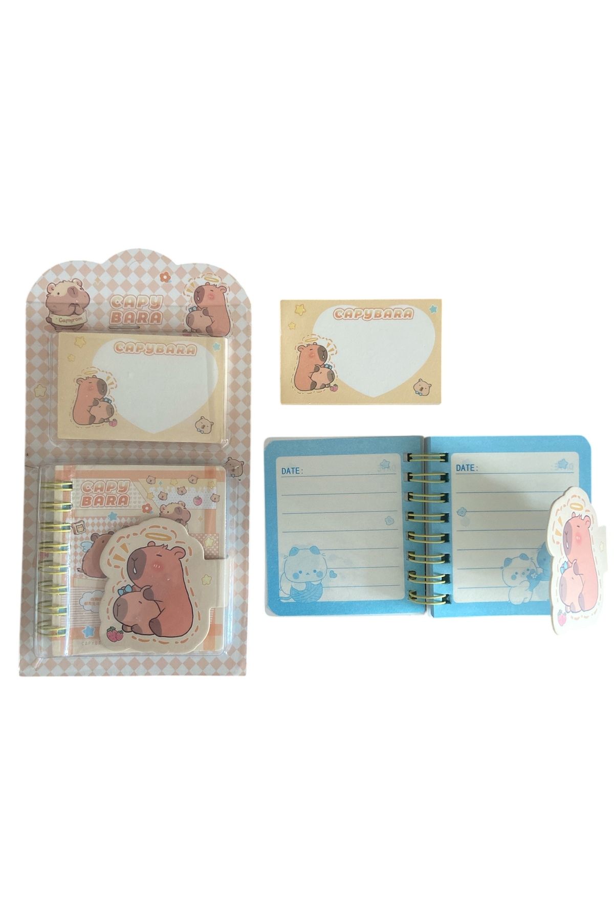 synshop Capybara Kapibara Not Defteri Postit Blok Not Kağıt