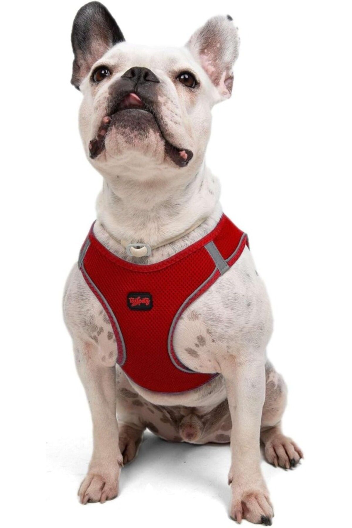 Orqinel Tailpetz Air-Mesh Köpek Göğüs Tasması (Kırmızı, Large)