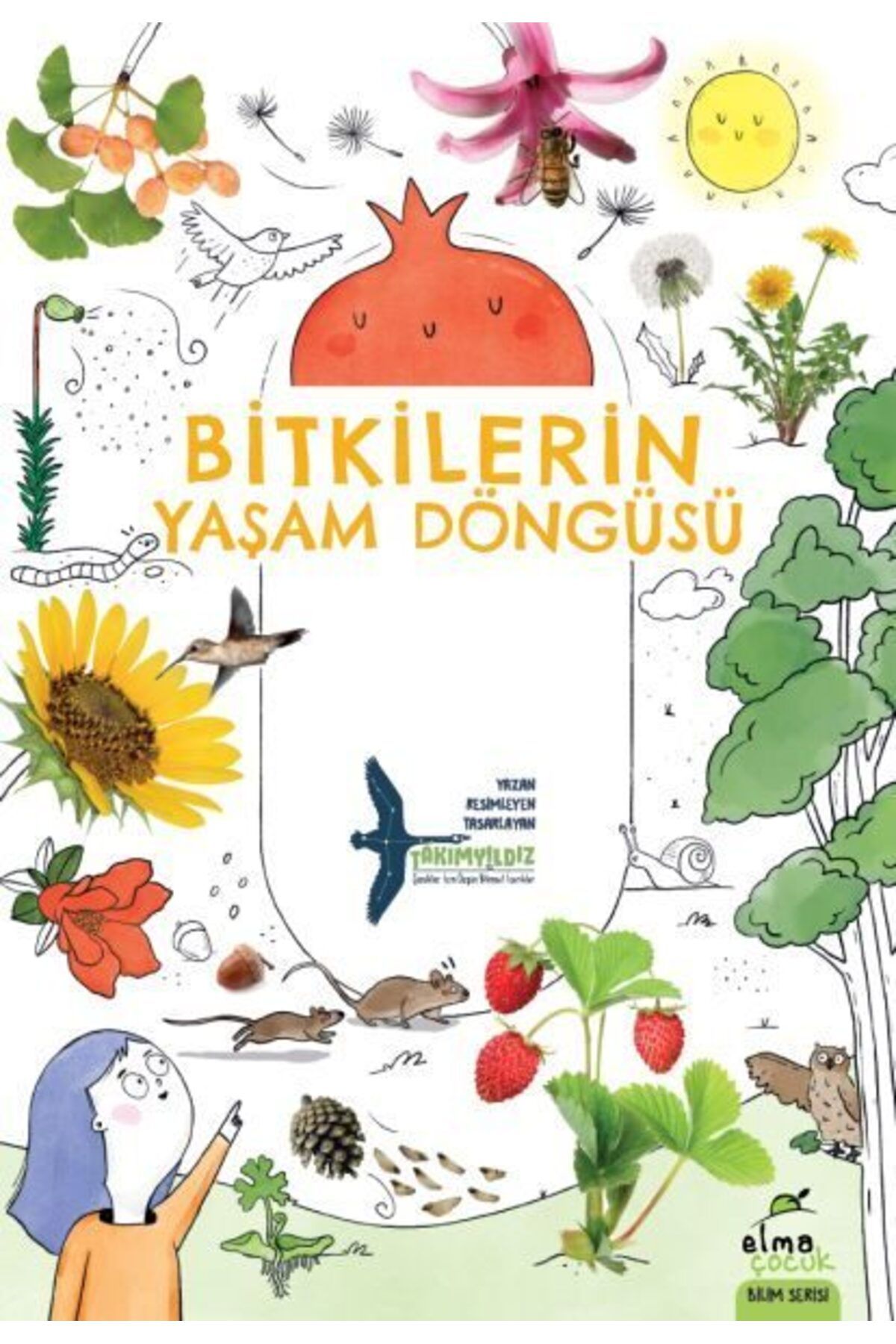 Destek Yayınları Bitkilerin Yaşam Döngüsü