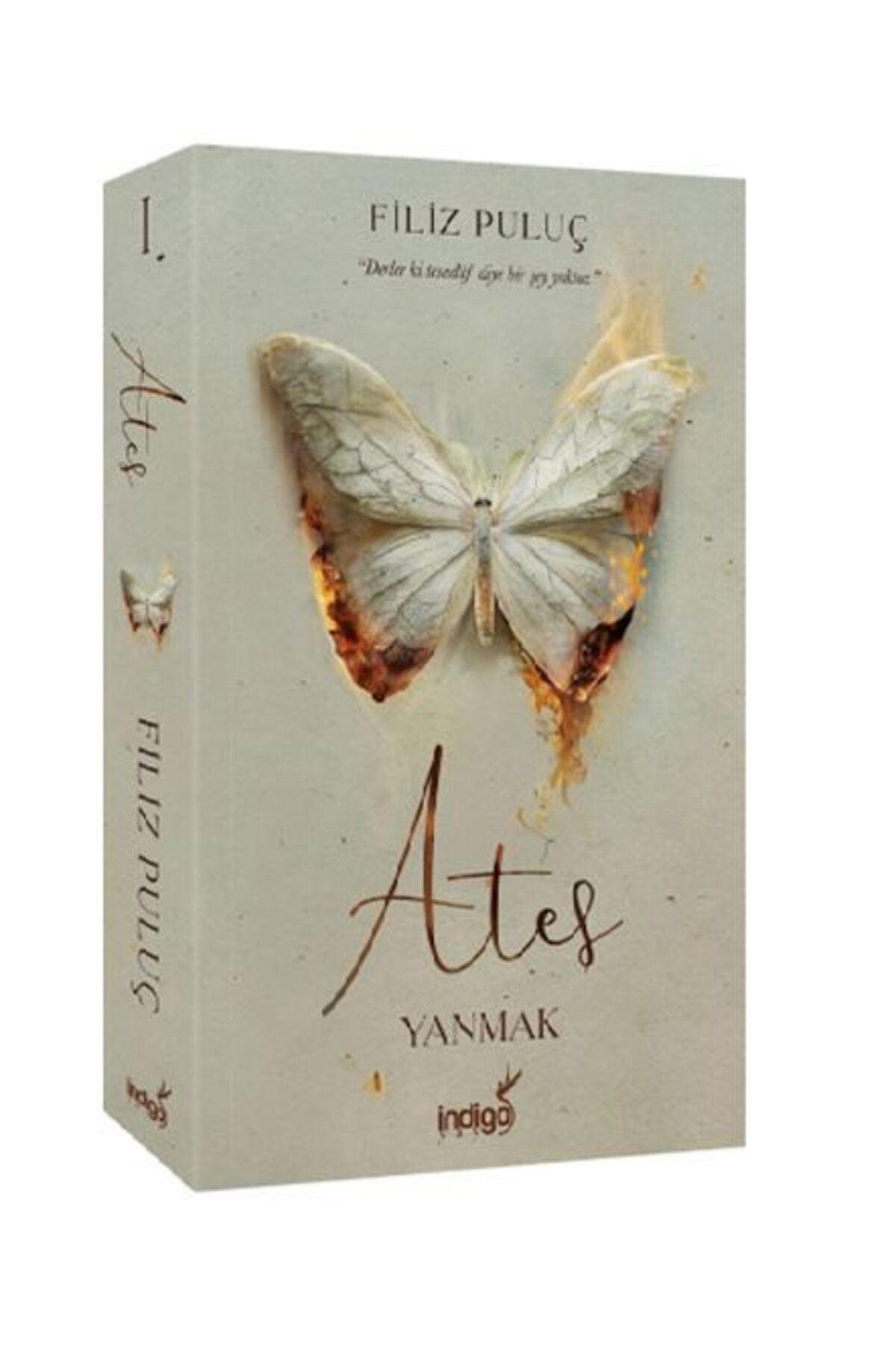 Destek Yayınları Ateş Yanmak