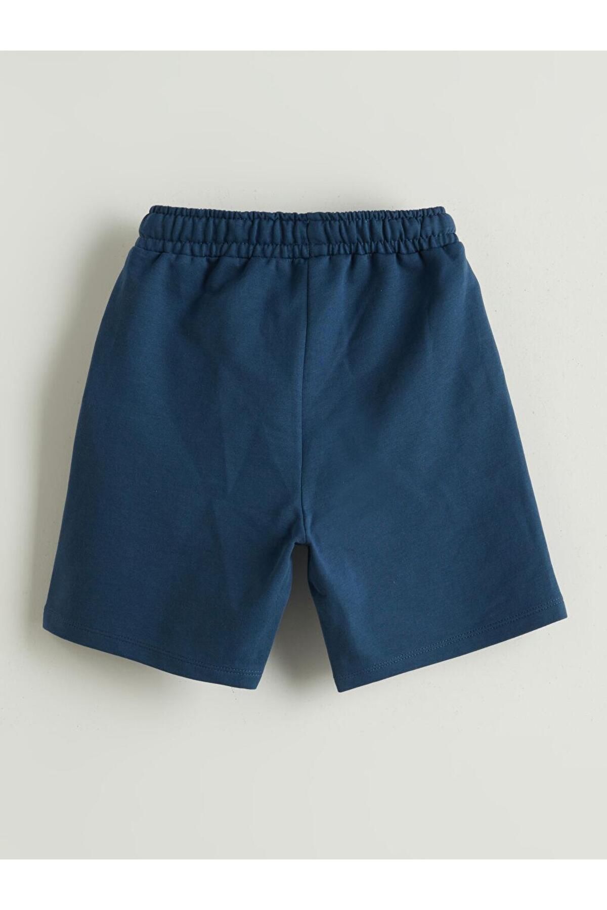 LC Waikiki-Printed Boy's T-Shirt and Shorts 2-Piece (S5) 5