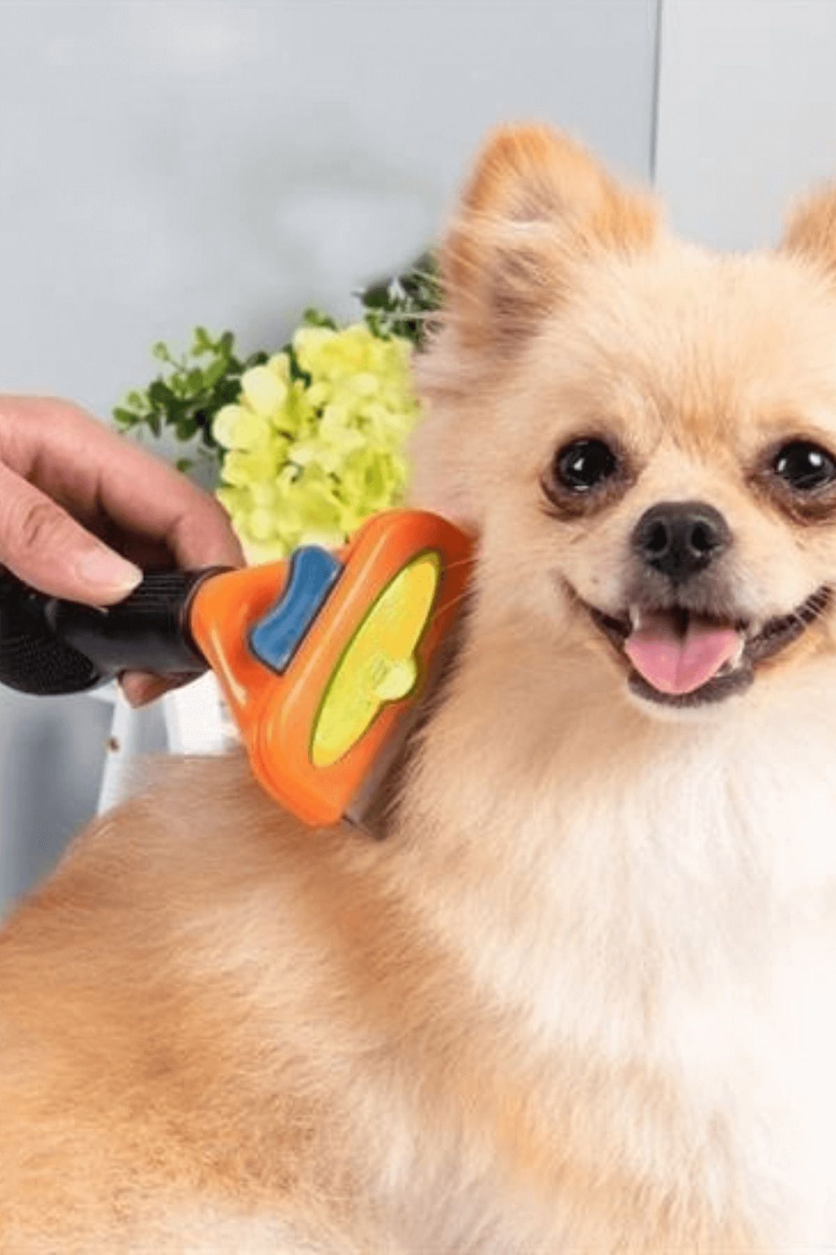ForWhat Büro Ev Evcil Hayvanı için Çelik Uzun Tüylü Köpek Tüy Tarar Toplar Fırçası