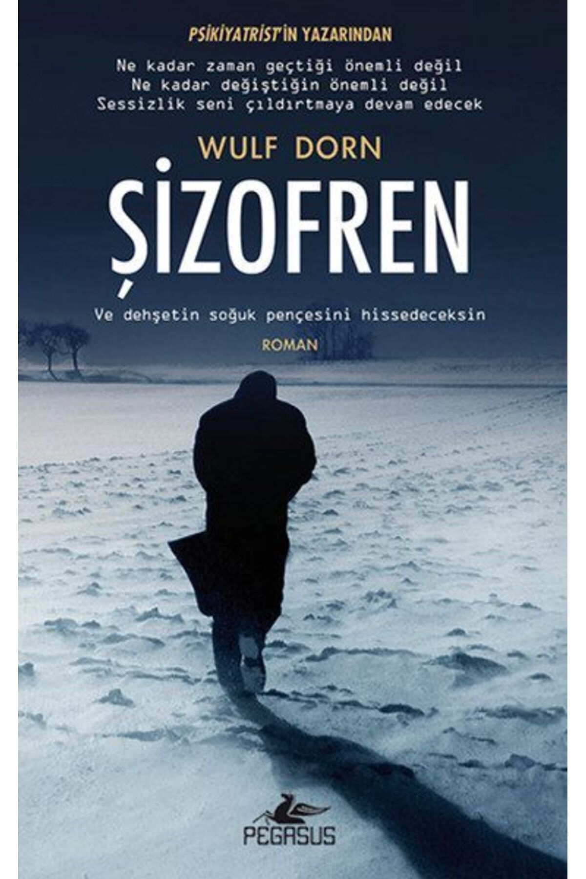 Karatay Yayınları Şizofren