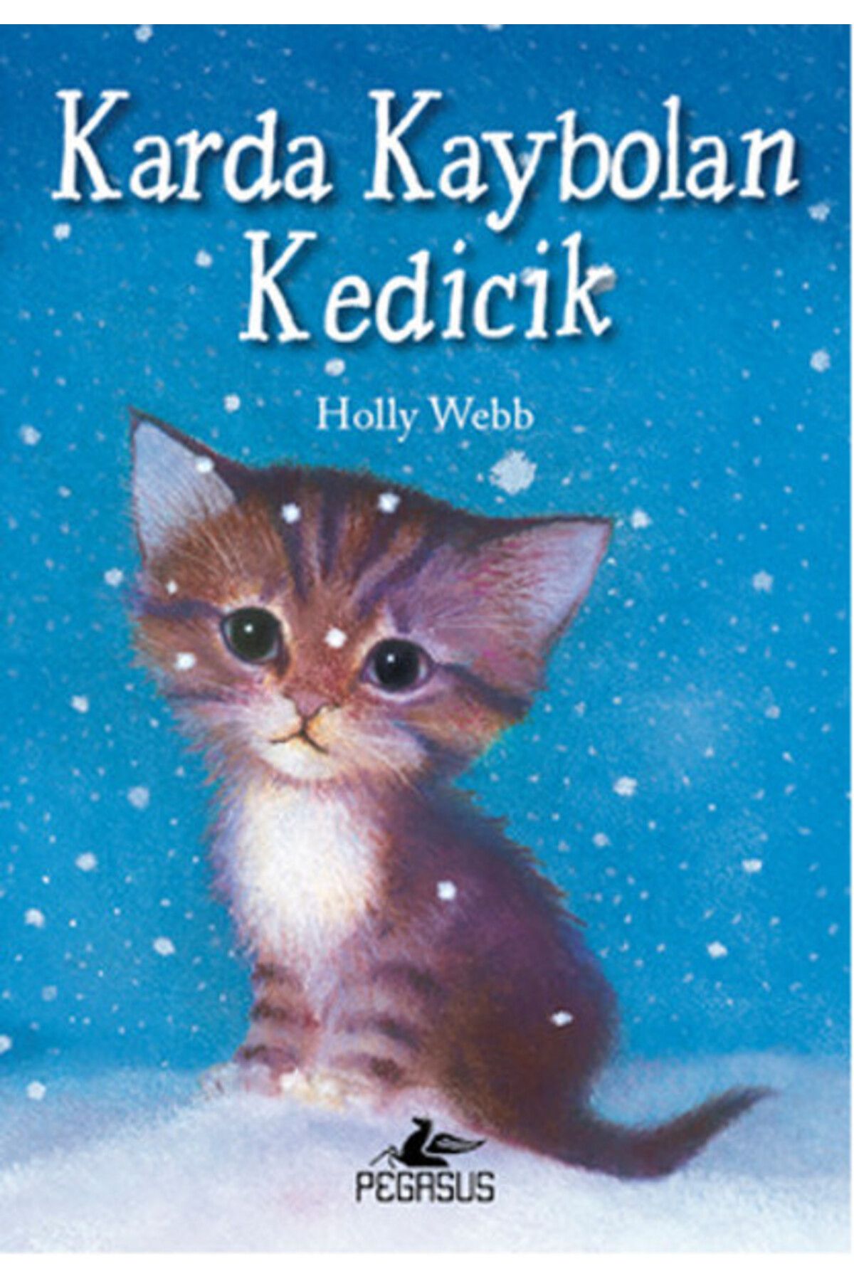 Karatay Yayınları Karda Kaybolan Kedicik