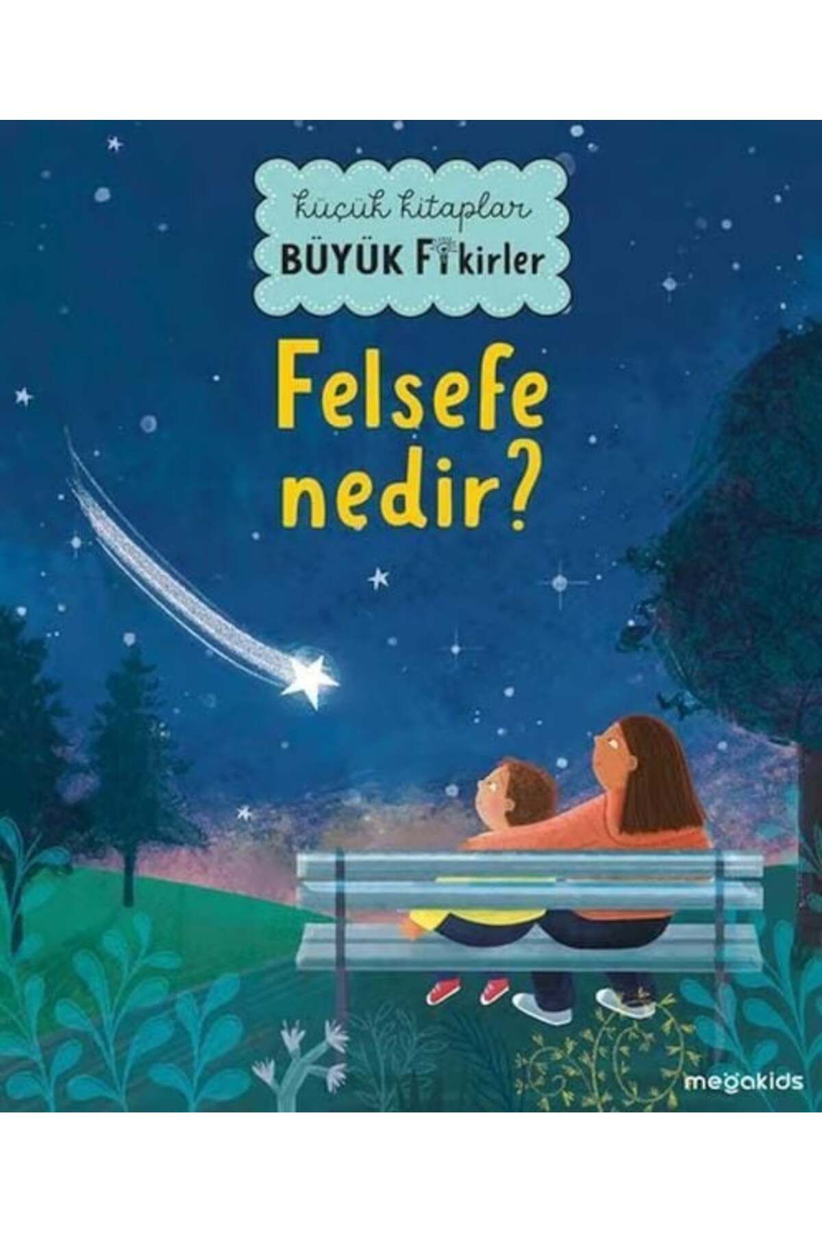 Destek Yayınları Küçük Kitaplar Büyük Fikirler Felsefe Nedir