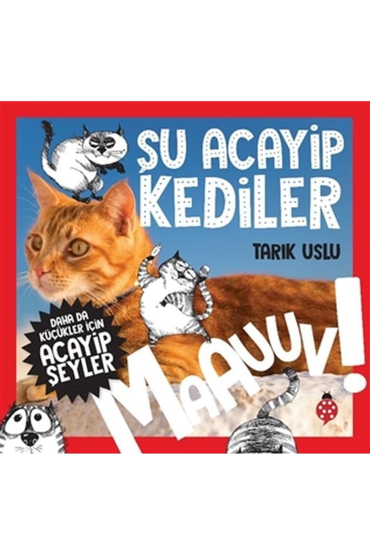 Karatay Yayınları Daha Küçükler İçin Şu Acayip Kediler