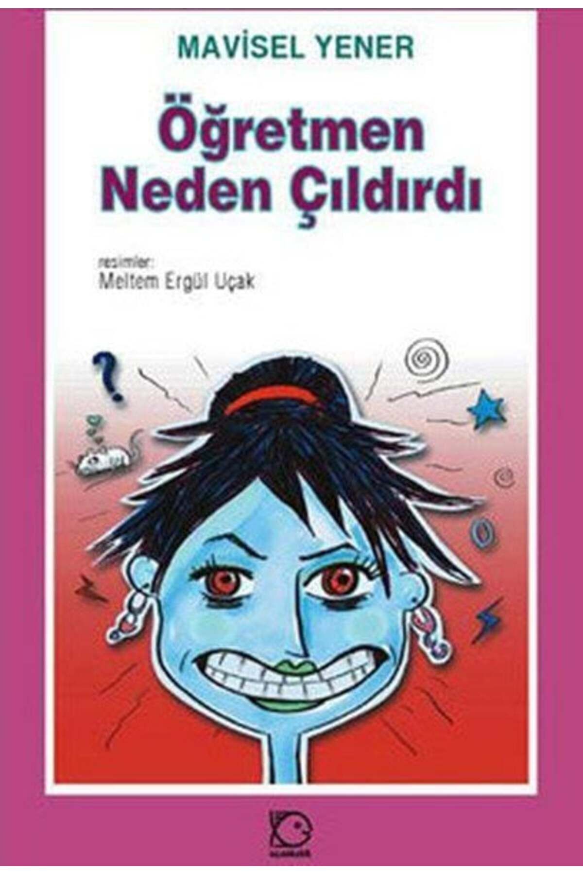 Destek Yayınları Öğretmen Neden Çıldırdı
