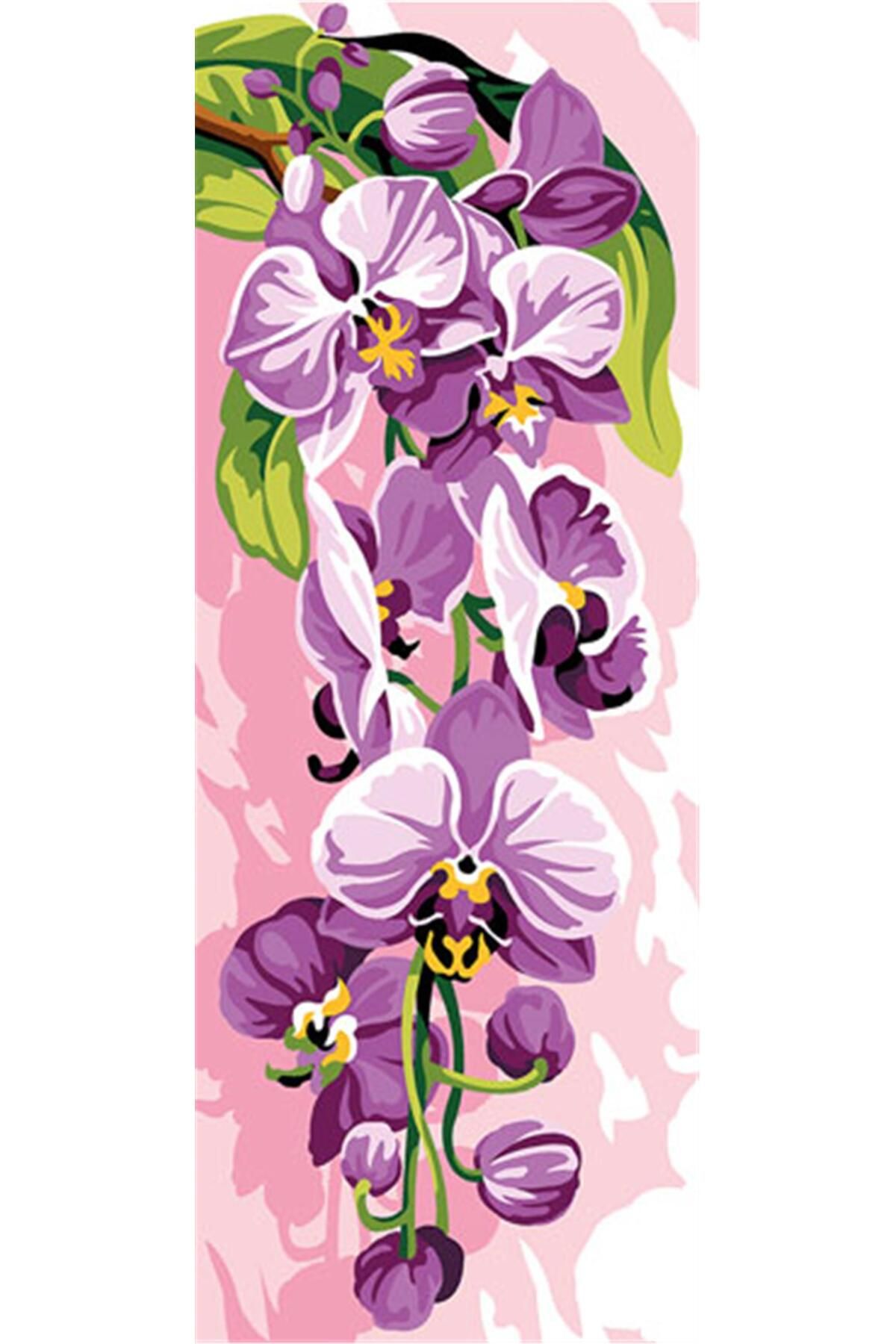 Seg GOBLEN 25X60CM