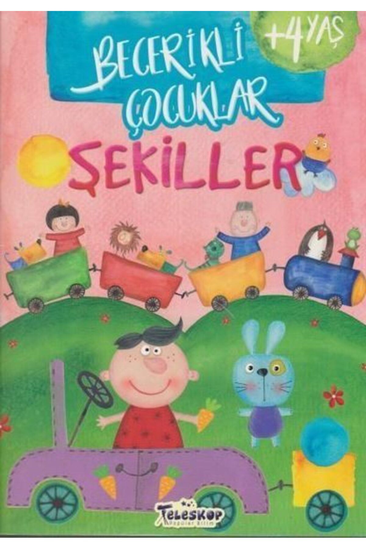 Destek Yayınları Şekiller Becerikli Çocuklar
