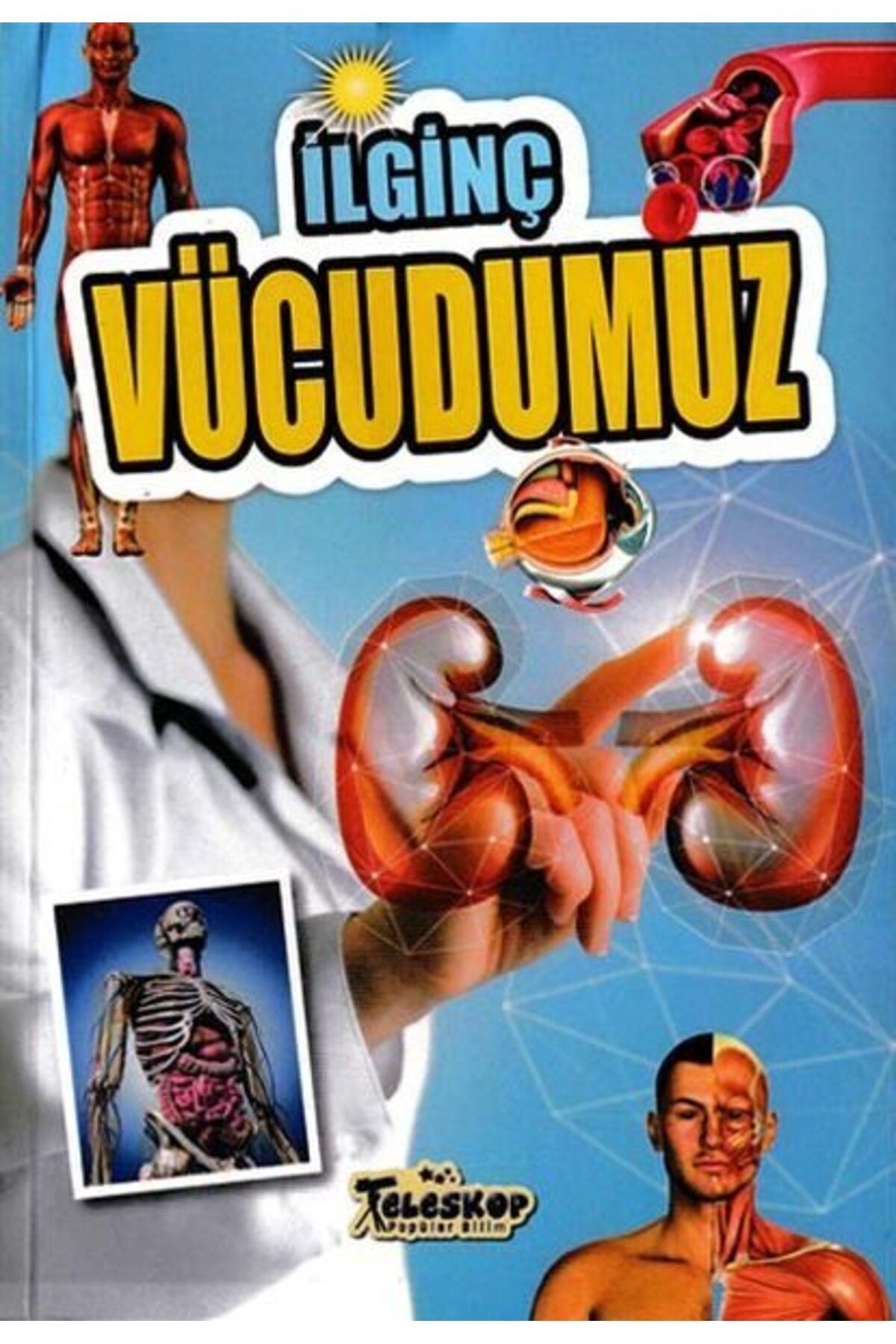 Destek Yayınları İlginç Vücudumuz İlginç Bilgiler Serisi