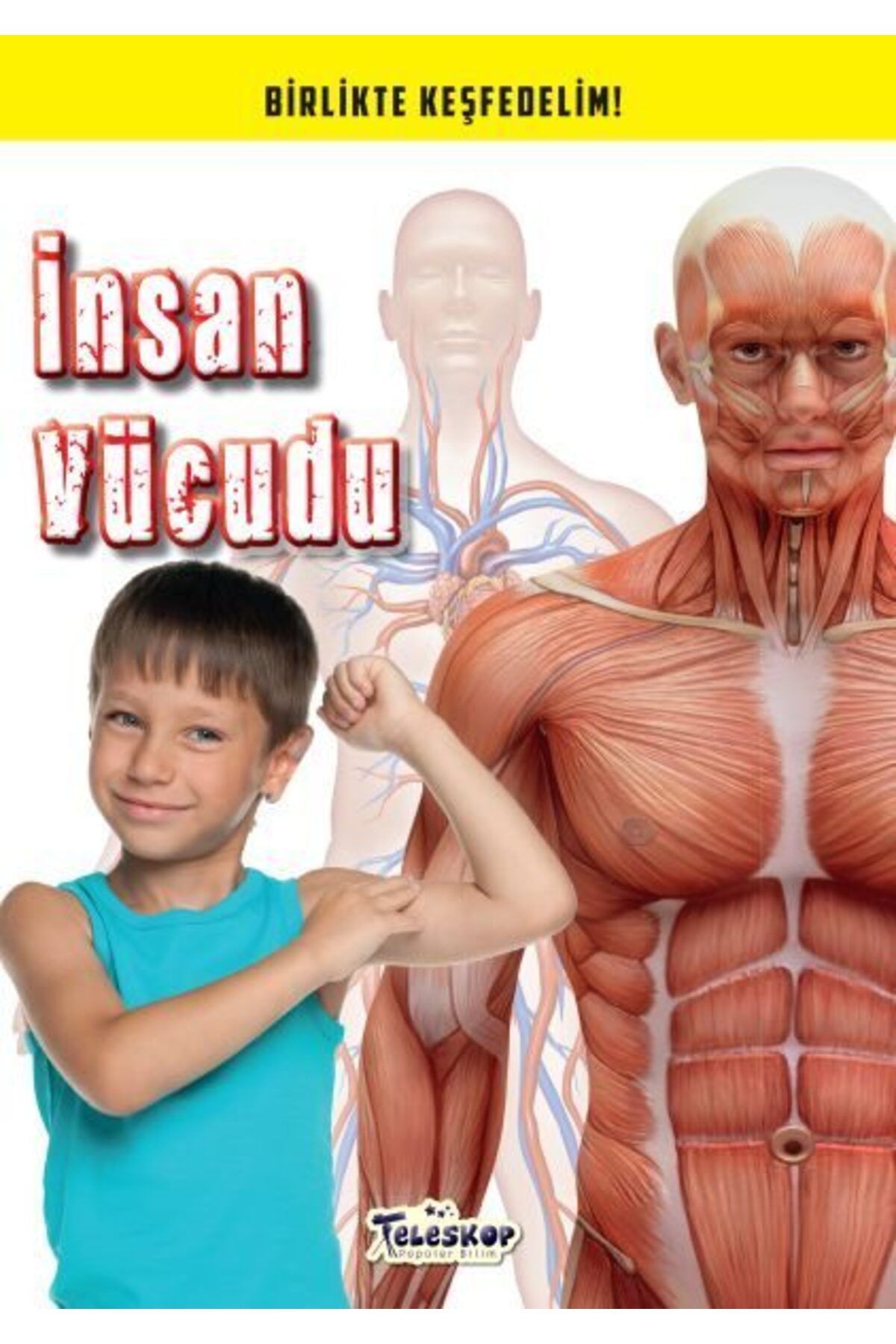 Destek Yayınları İnsan Vücudu Birlikte Keşfedelim