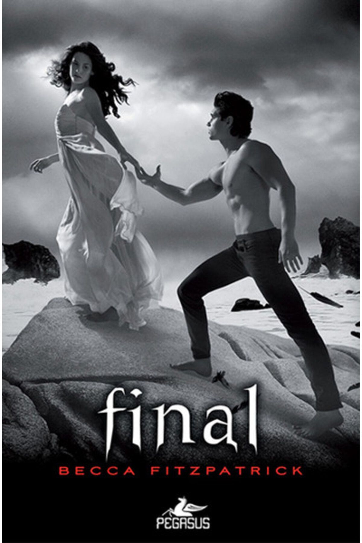 Karatay Yayınları Hush Hush Serisi 4 Kitap Final Ciltli