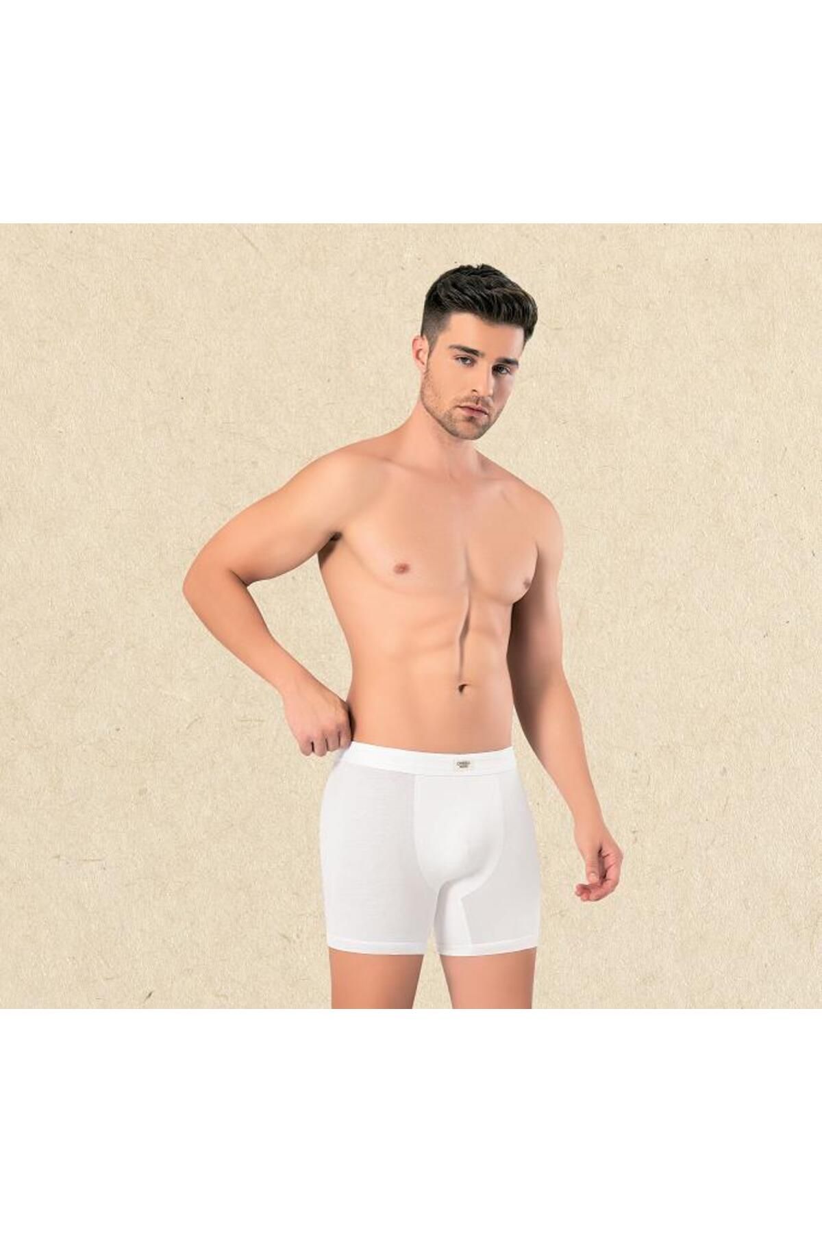 OMERA Organik Kumaş Erkek Likralı Boxer 2010