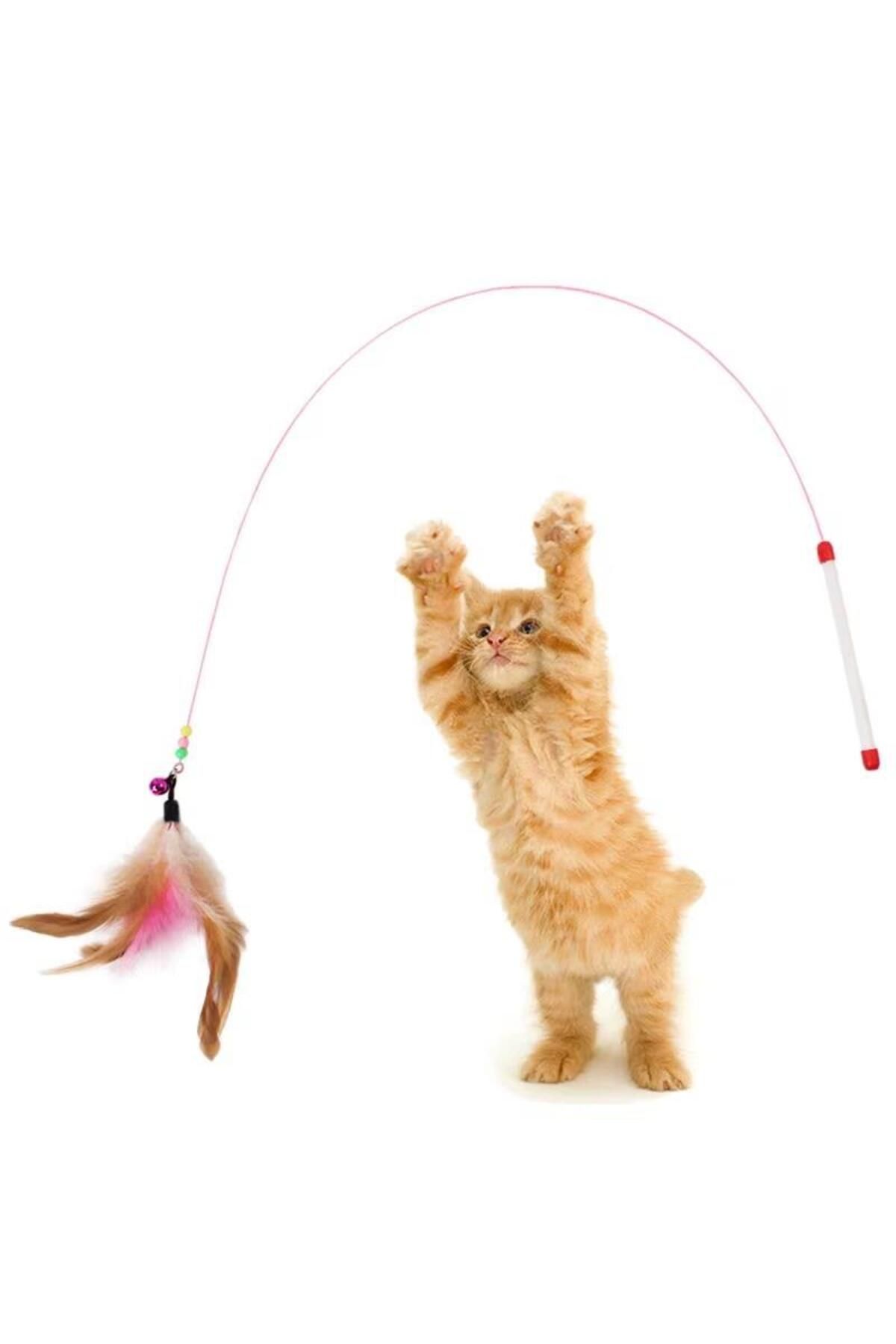 sanal trend Kedi Oyun Oltası 90 Cm Renkli Tüylü Kedi Oyuncağı