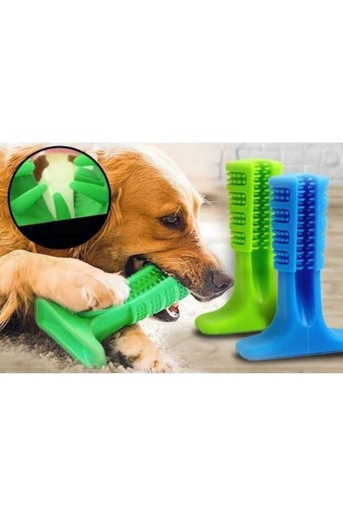 Orqinel Mbois Köpek Diş Fırçası Isırma Aparatı Küçük Boy