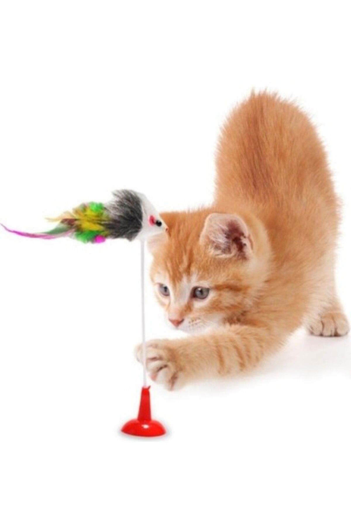 Orqinel No Name Petkit Kedi Fare Oyuncağı Vantuzlu