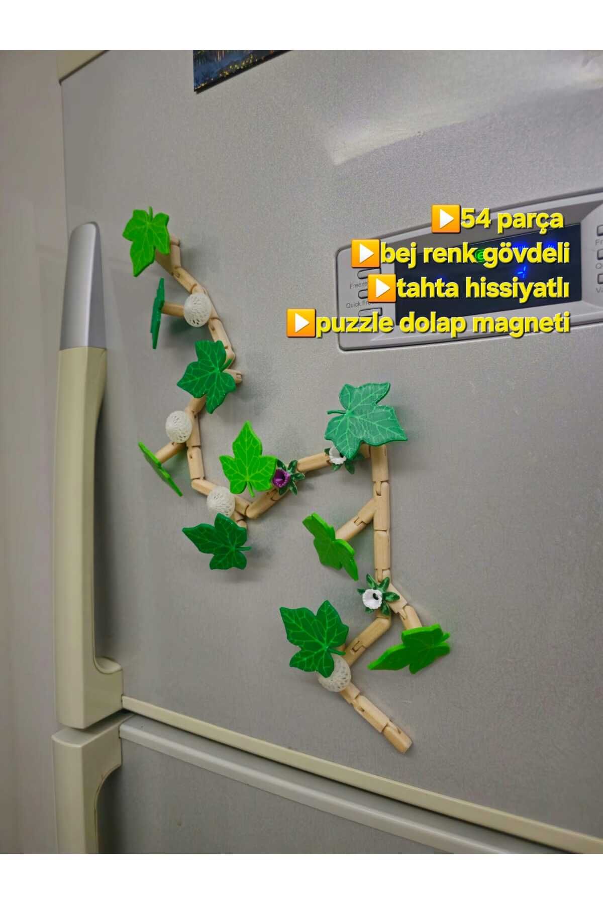 unbranded Mıknatıslı Sarmaşık Dolap Süsü Magnet Seti – 54/106 Parça, Çiçekli, Fosforlu, Kutulu