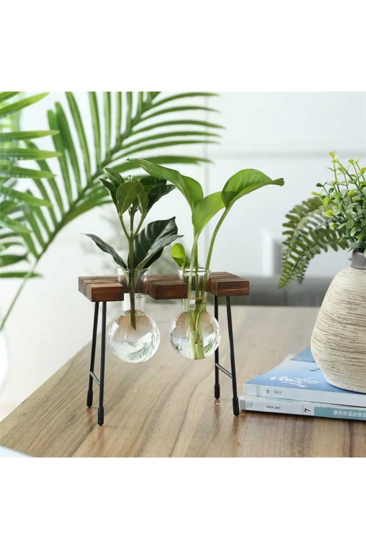 ALPJOY Hidroponik Bitki Vazosu Vintage Ahşap Stand