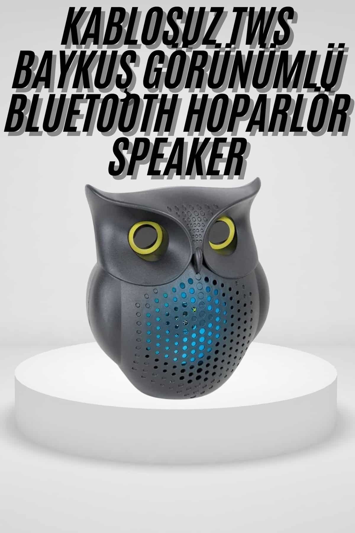 ASTRALTECH Siyah Bluetooth Hoporlör Baykuş Speaker Bluetooth 5.0 Bağlantılı