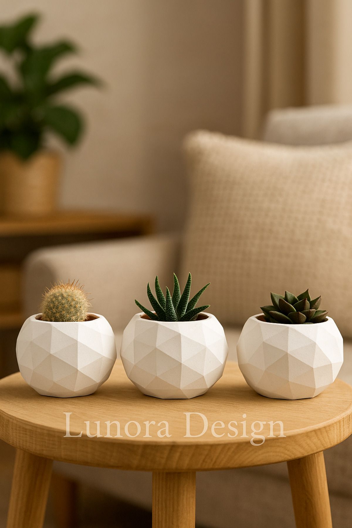 Lunora Design Geometrik Desenli El Yapımı 3'lü Sukulent Saksı Seti – Beyaz | Lunora Design