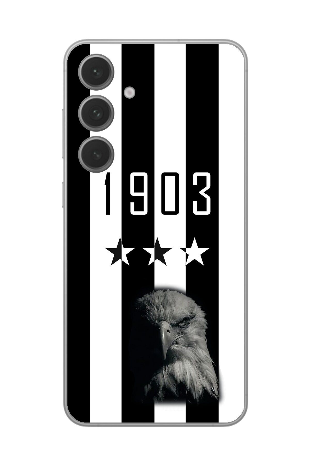 Dali Design Samsung Galaxy S24 Uyumlu Şeffaf Kılıf Şeffaf 1907 Boğa Tasarımlı