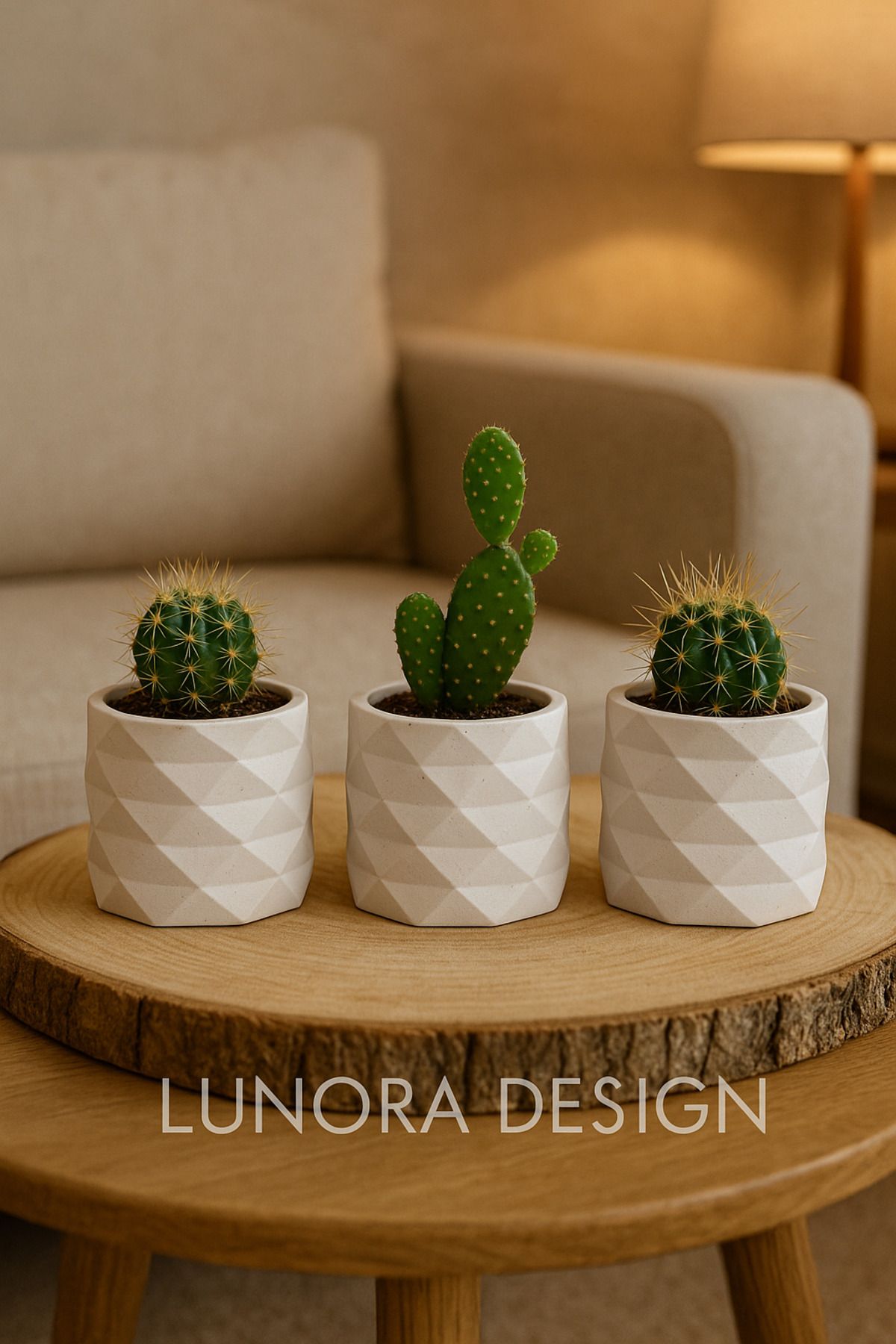Lunora Design Geometrik Desenli El Yapımı 3’lü Kaktüs Saksı Seti – Beyaz | Lunora Design