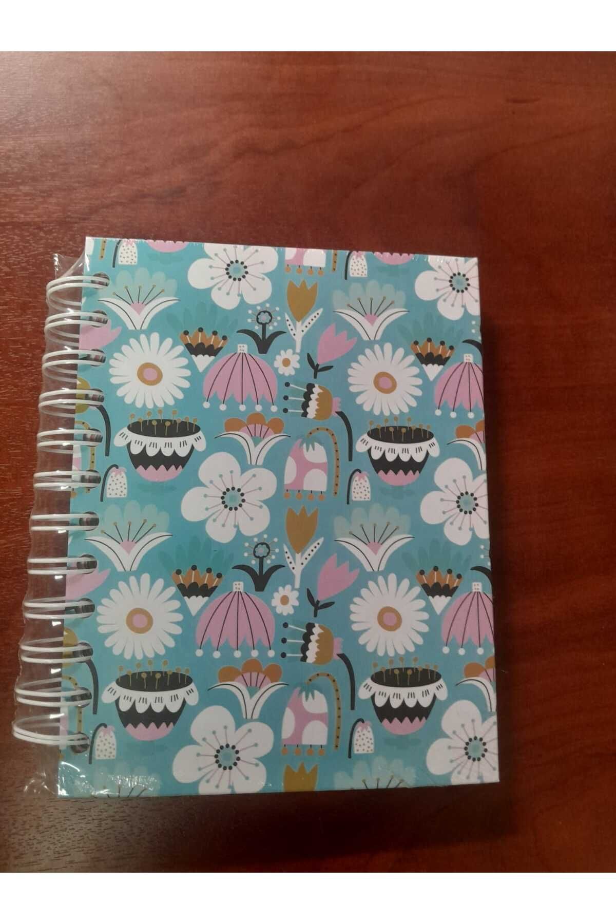 Liz AYRACLI PLANNER 12x17 AJT02