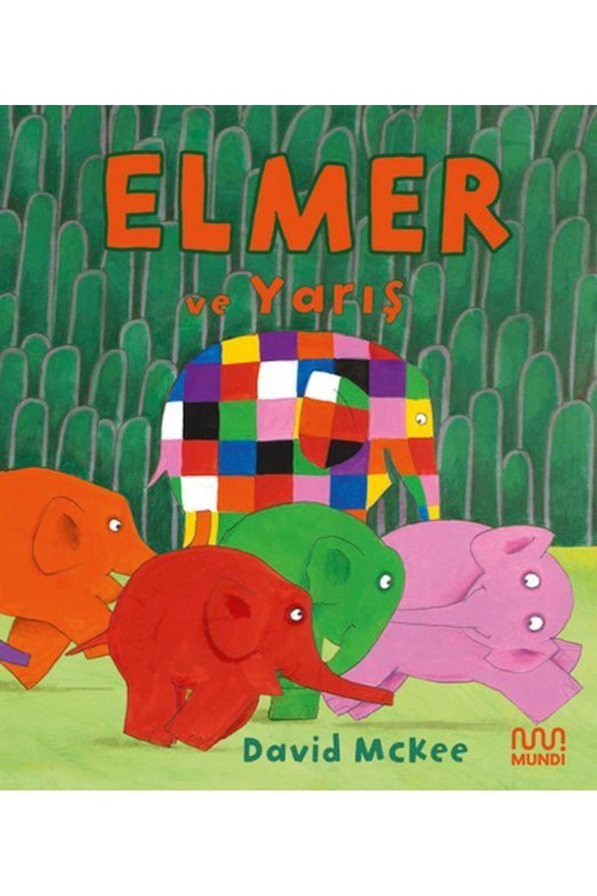 Destek Yayınları Elmer ve Yarış
