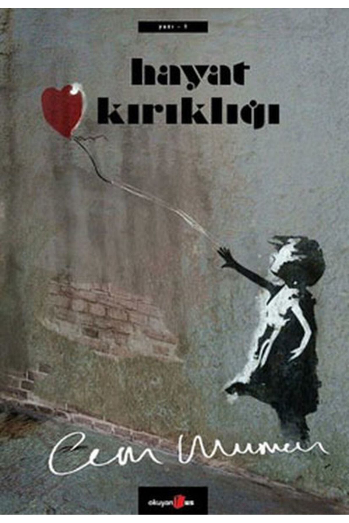 Türk Dil Kurumu Yayınları Hayat Kırıklığı