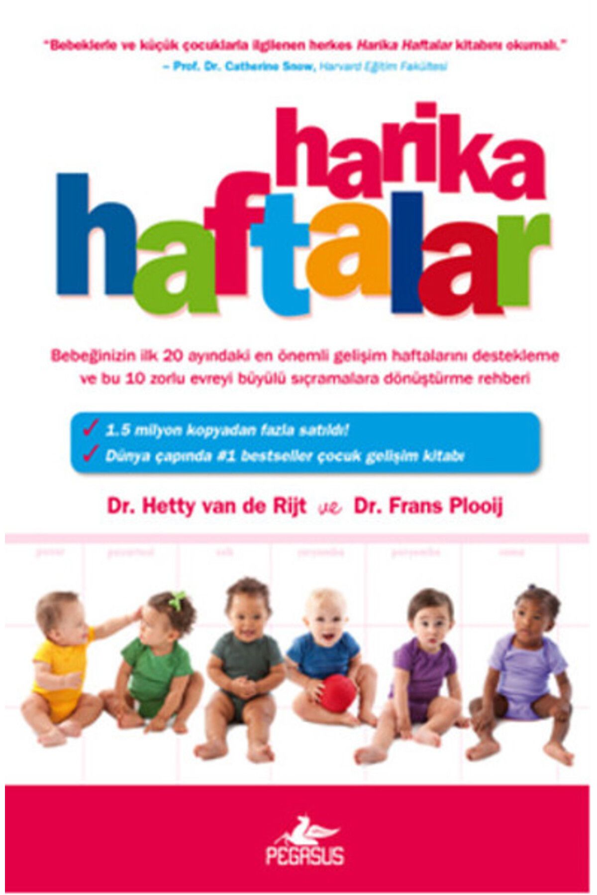 Destek Yayınları Harika Haftalar (Ciltsiz)